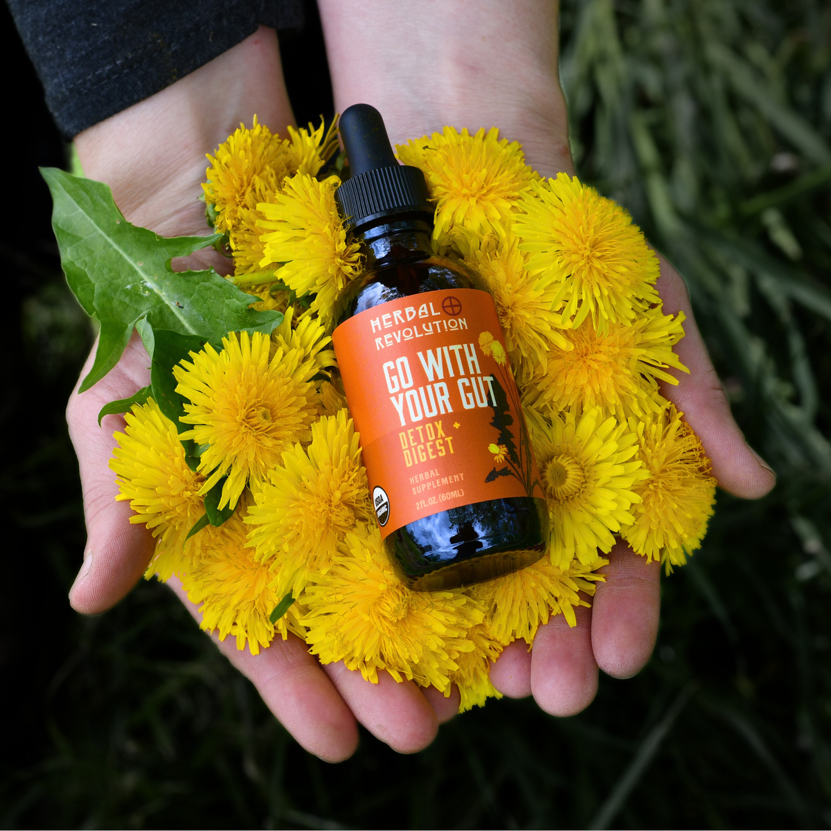 Go With Your Gut: Detox, Digestive, Liver Support Elixir
