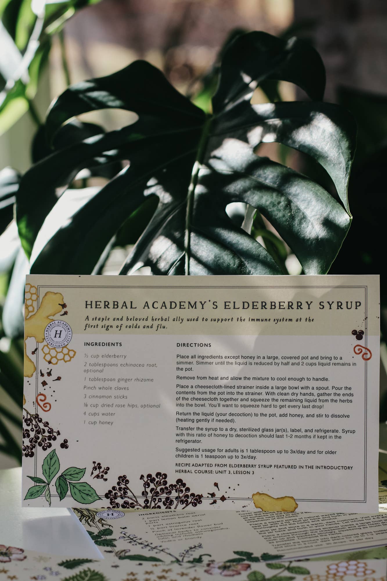Herbal Recipe Cards
