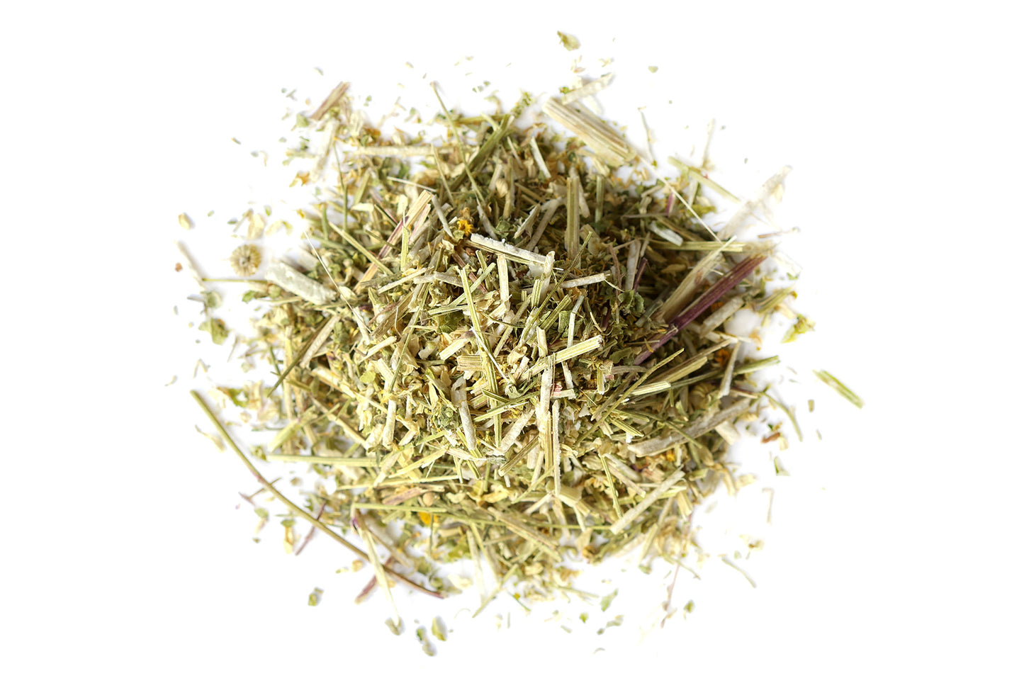 Feverfew
