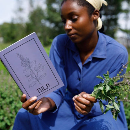 Nettle | Herbal Medicine Making Zines