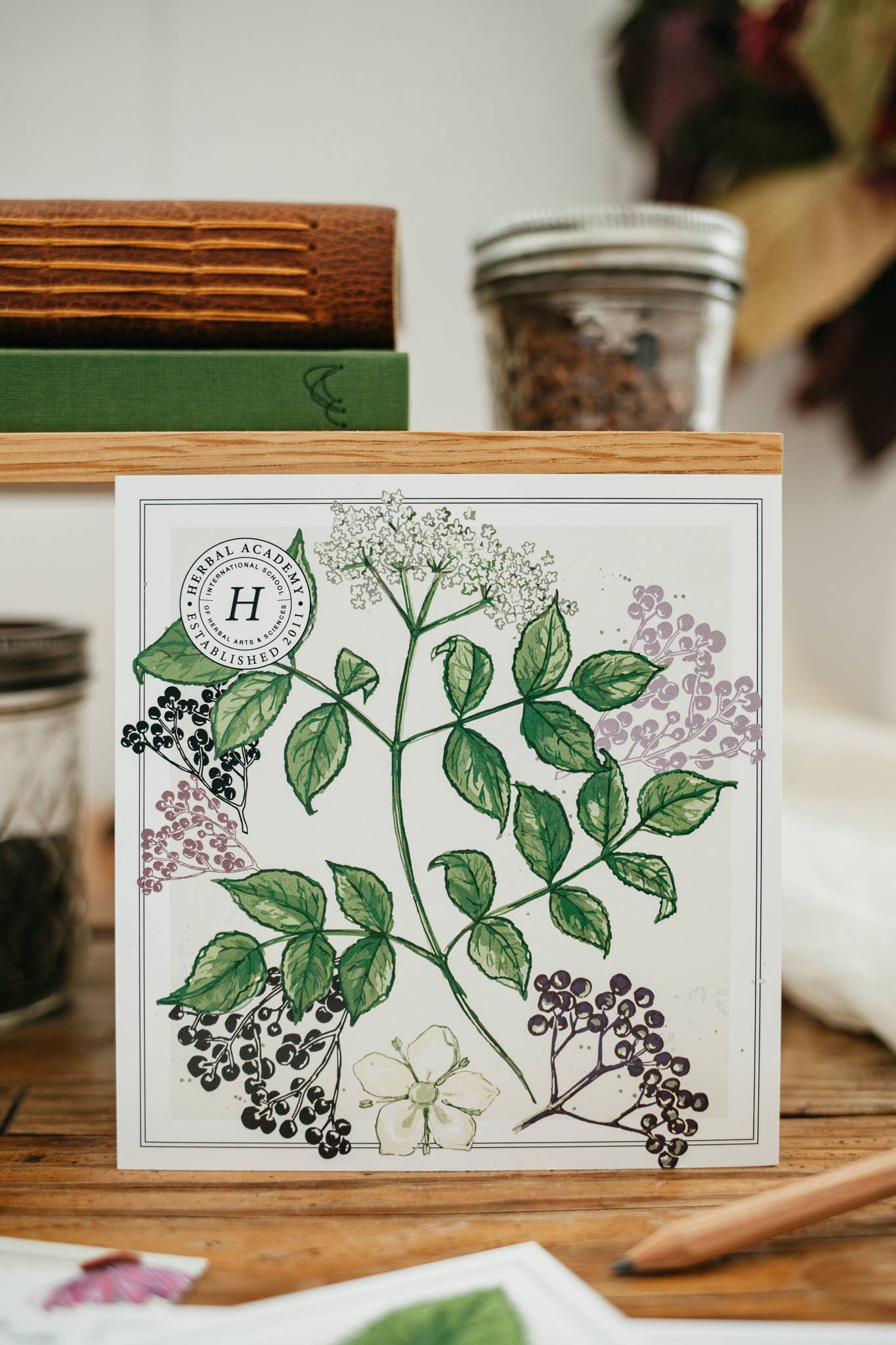 Mini Plant Monograph Cards