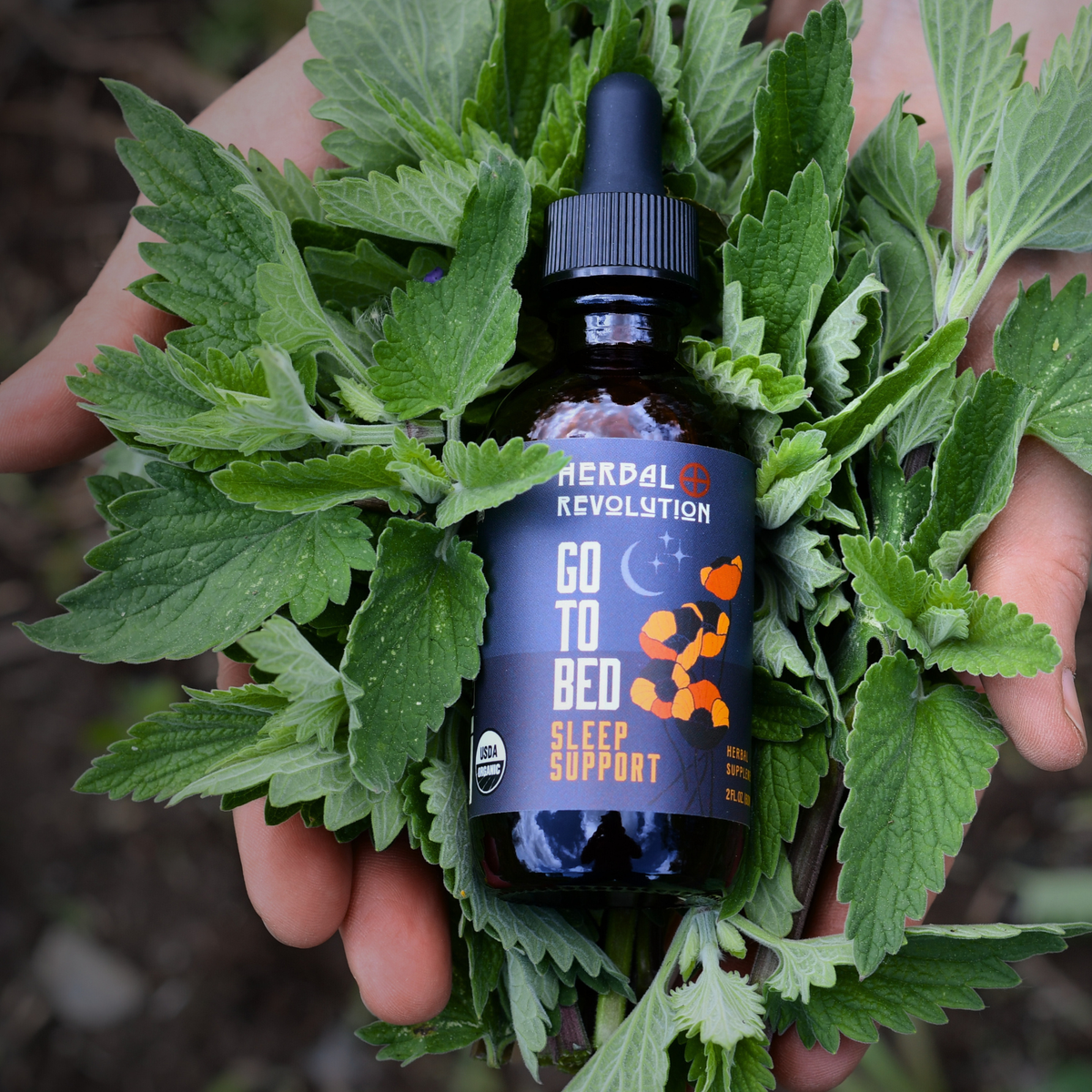 Go To Bed: Deep Sleep Elixir