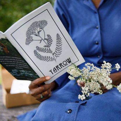 Nettle | Herbal Medicine Making Zines