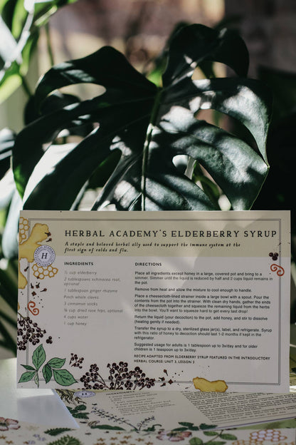 Herbal Recipe Cards