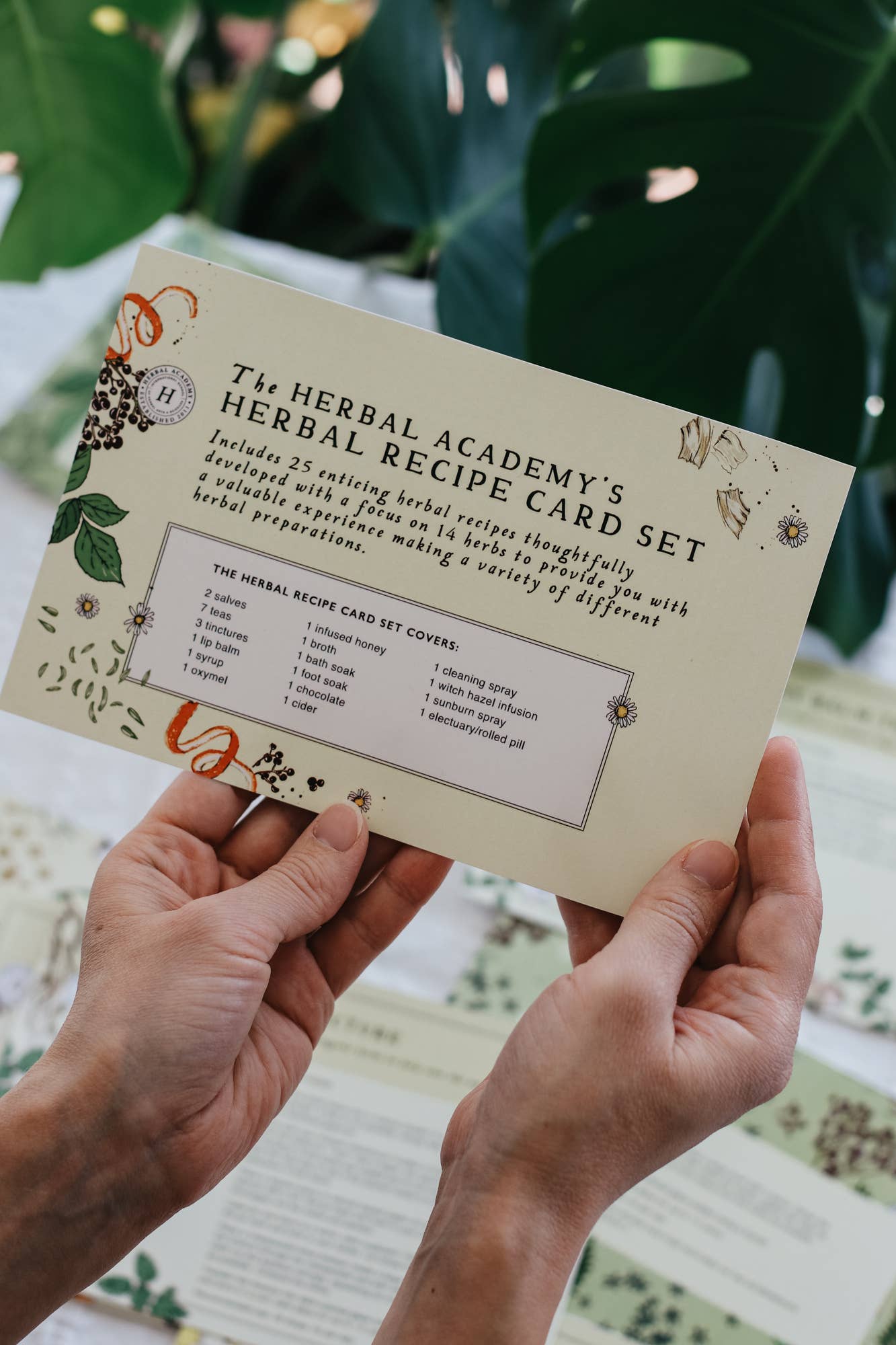 Herbal Recipe Cards