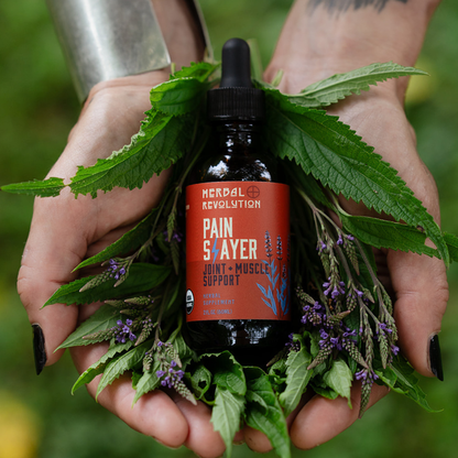 Pain Slayer: Joint + Muscle Support Elixir