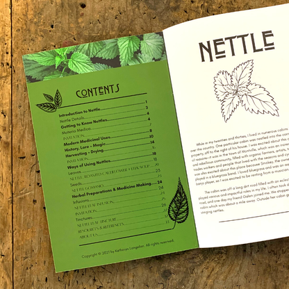 Nettle | Herbal Medicine Making Zines