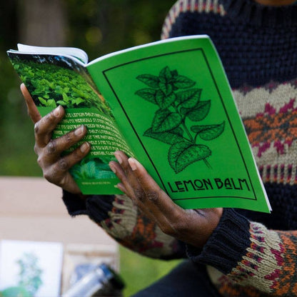 Nettle | Herbal Medicine Making Zines