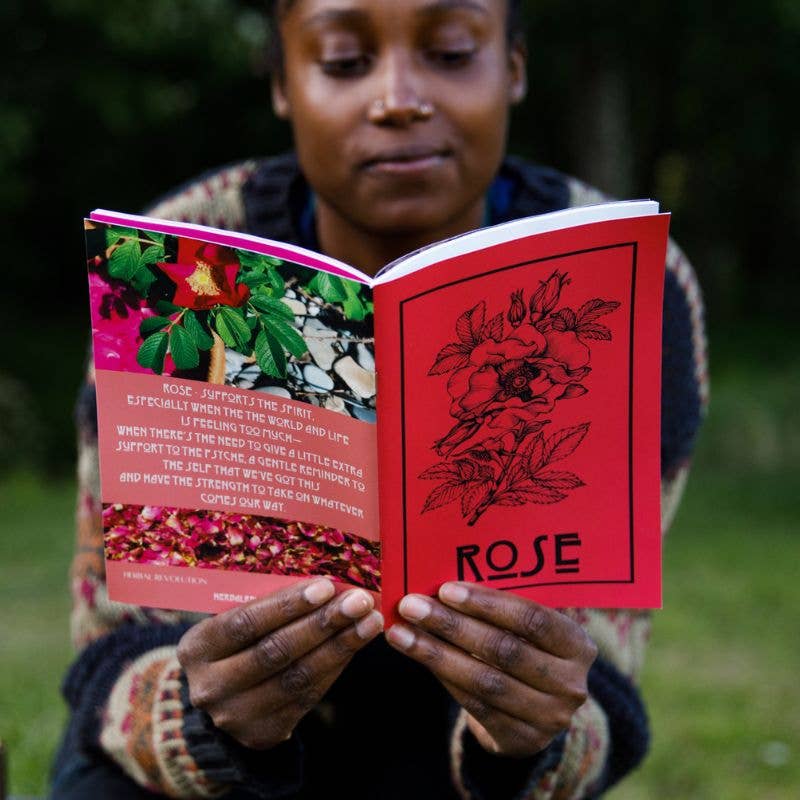 Nettle | Herbal Medicine Making Zines