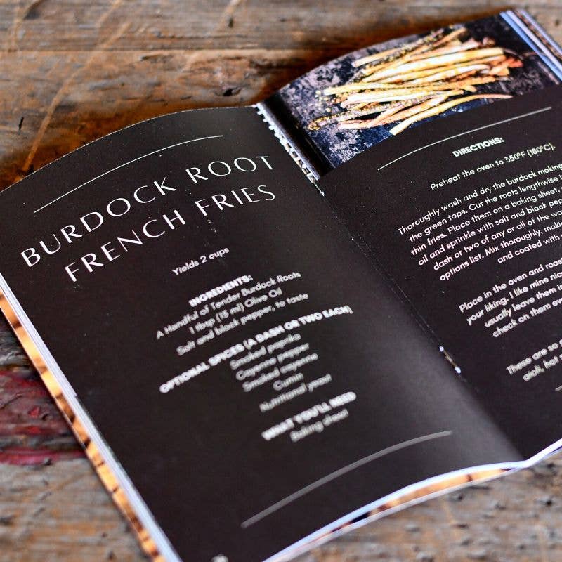 Nettle | Herbal Medicine Making Zines