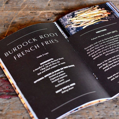 Nettle | Herbal Medicine Making Zines