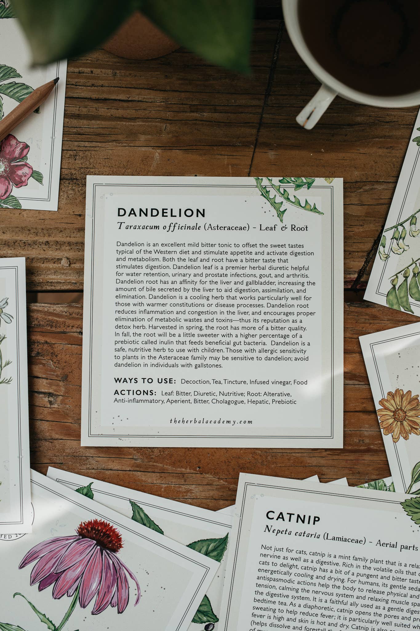 Mini Plant Monograph Cards