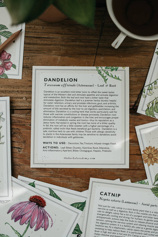 Mini Plant Monograph Cards