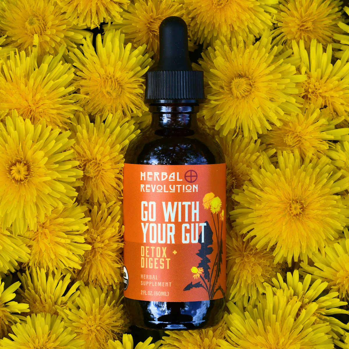 Go With Your Gut: Detox, Digestive, Liver Support Elixir