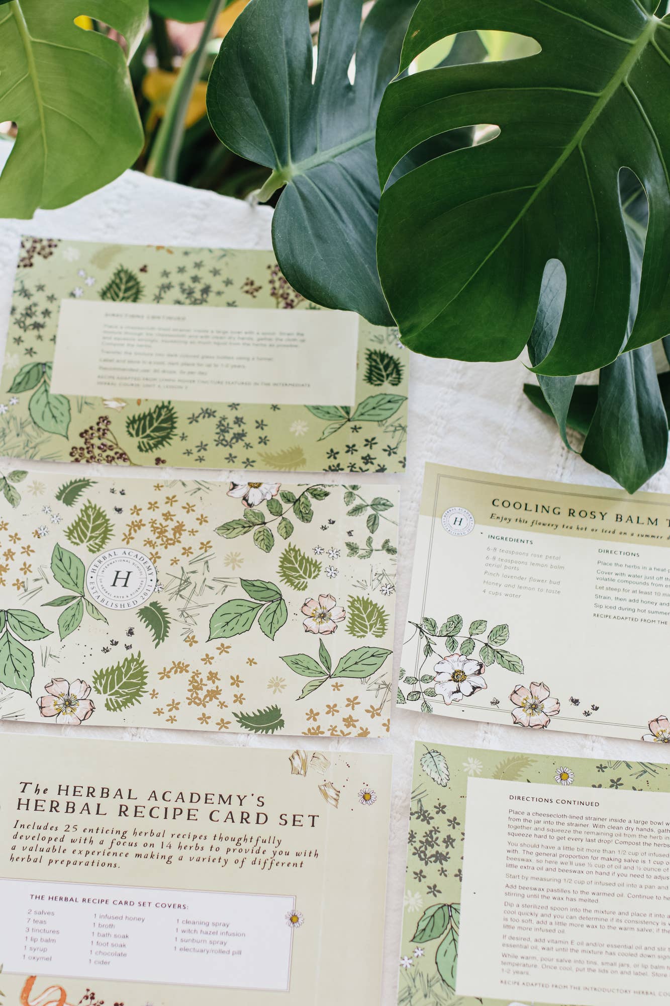 Herbal Recipe Cards