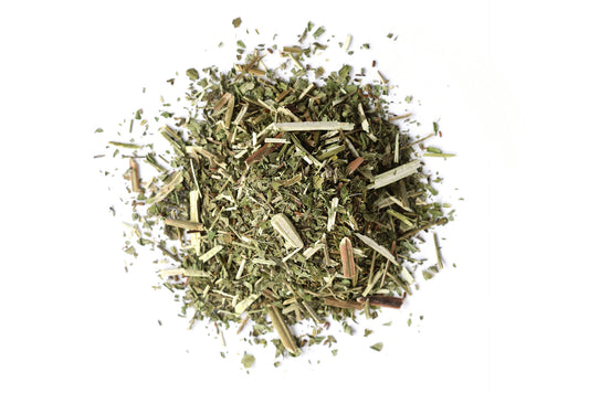 Blue Vervain