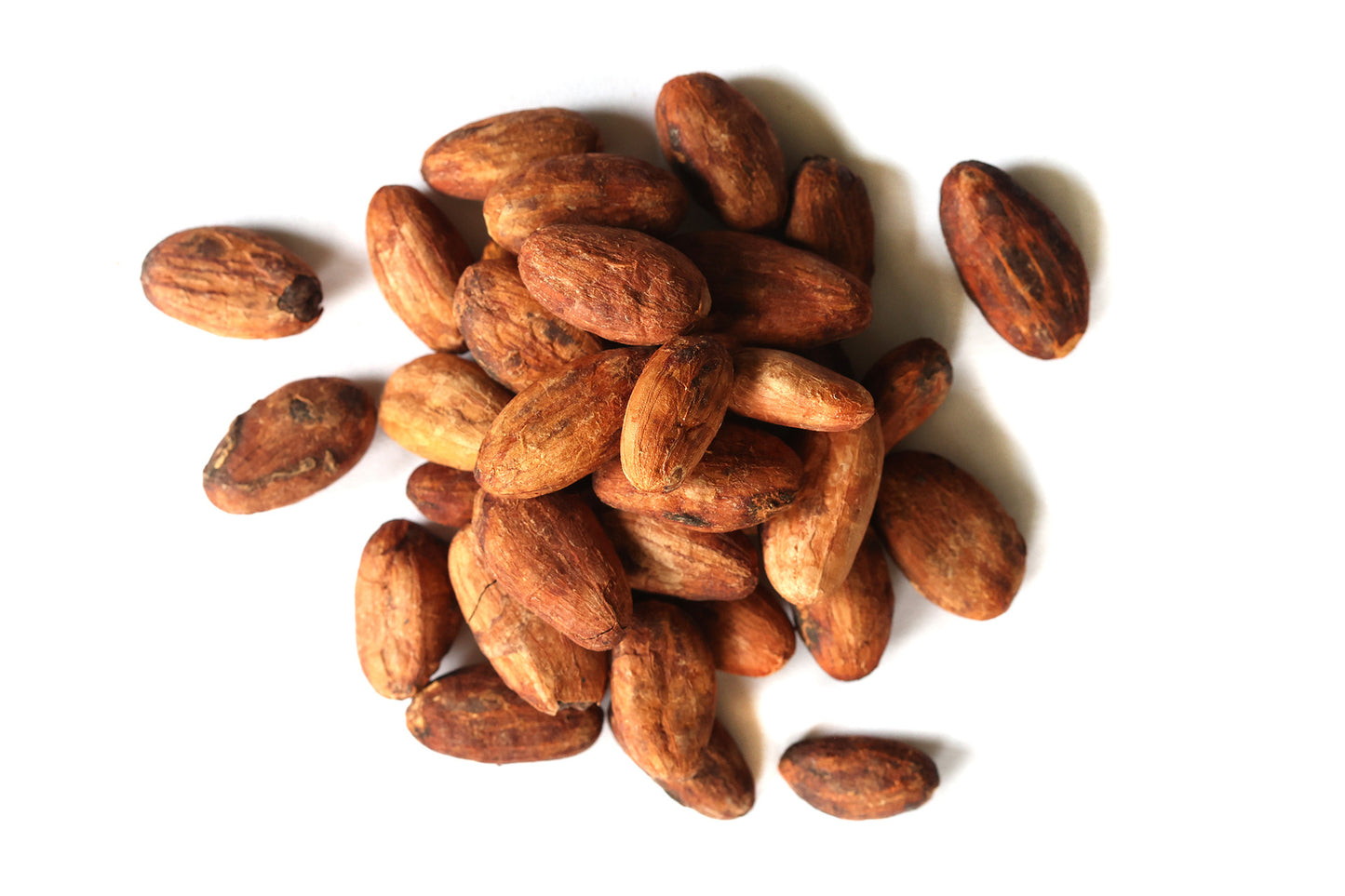 Cacao Beans Whole
