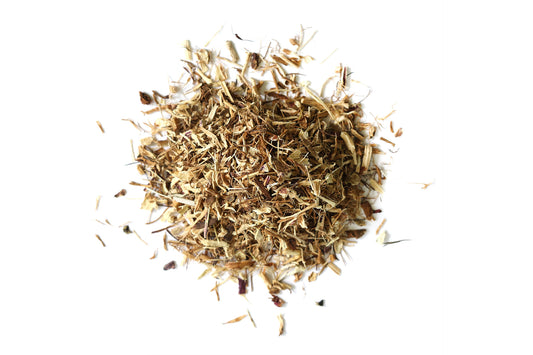 Echinacea Root