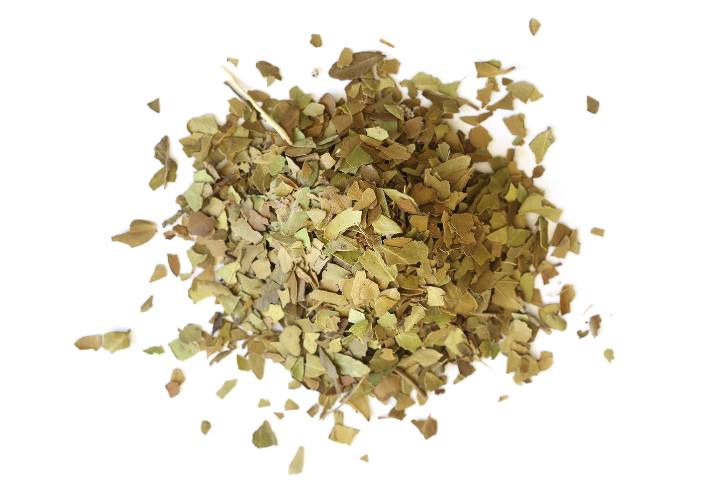Yaupon Tea