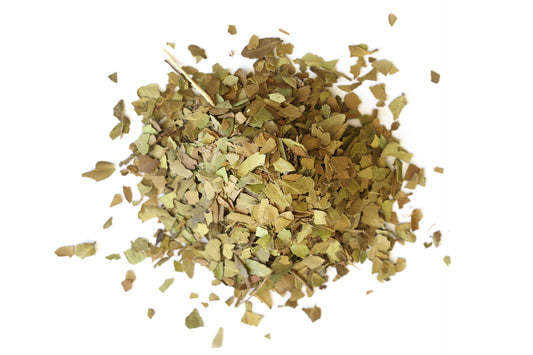 Yaupon Tea