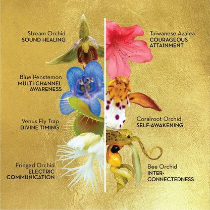 LOTUSWEI Sacred Collection Mists