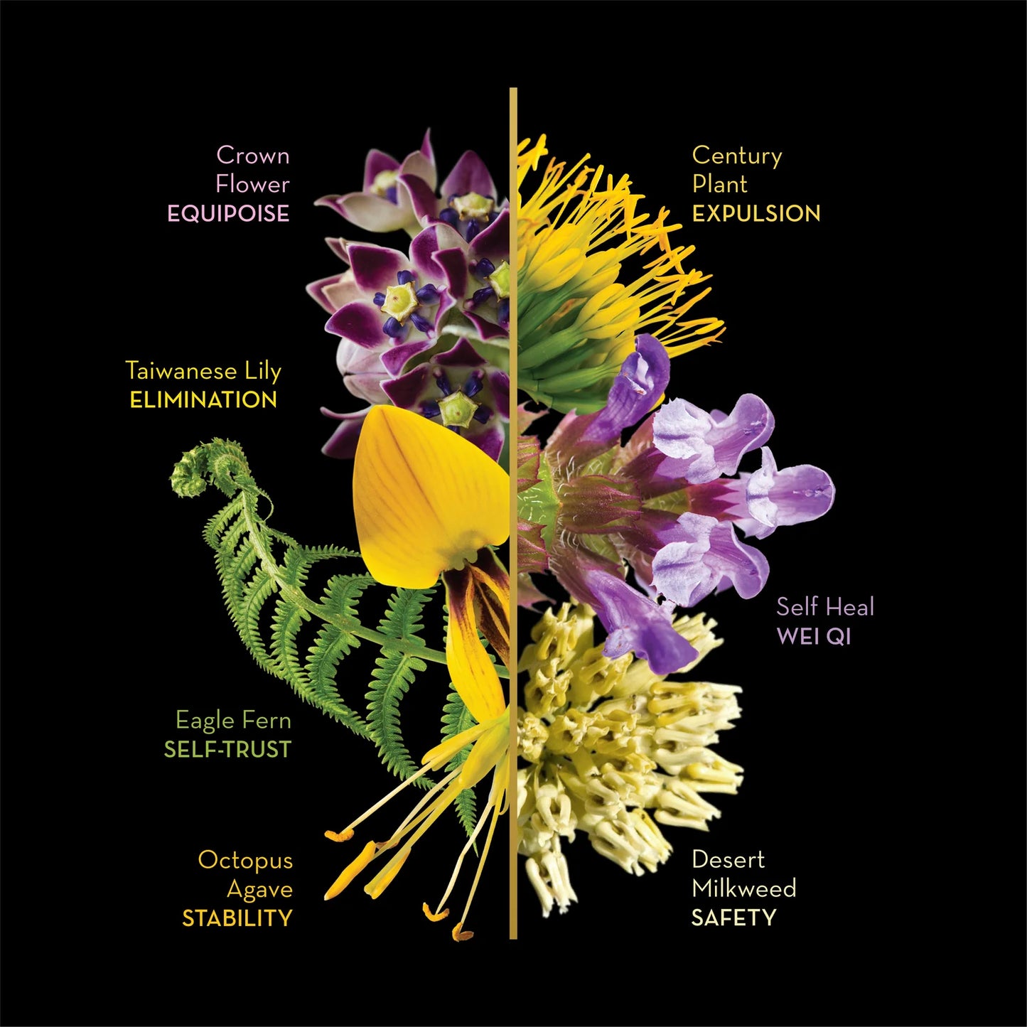 LOTUSWEI Sacred Collection Mists