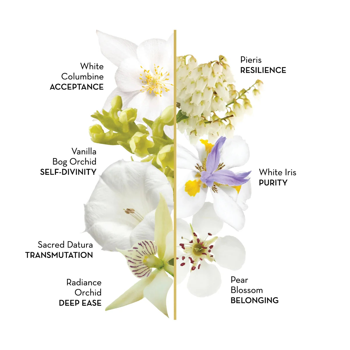 LOTUSWEI Sacred Collection Anointing Oils
