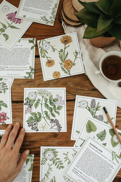 Mini Plant Monograph Cards