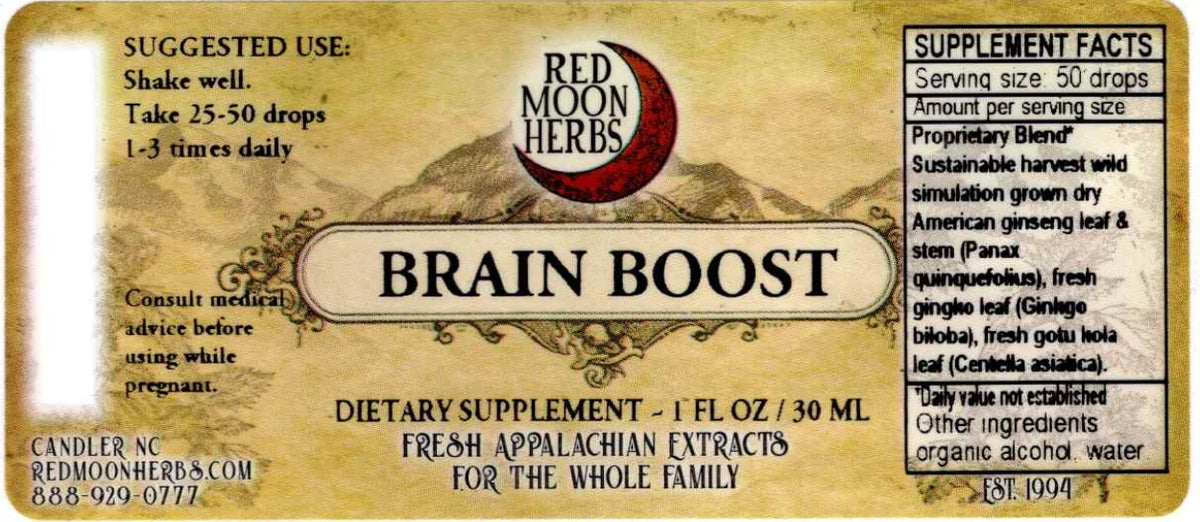 Brain Boost Extract