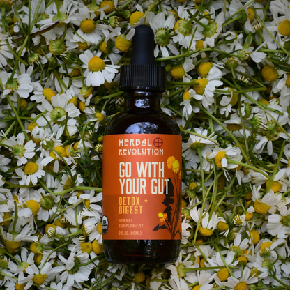 Go With Your Gut: Detox, Digestive, Liver Support Elixir