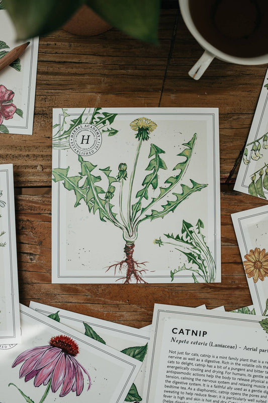 Mini Plant Monograph Cards