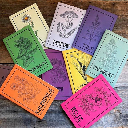 Nettle | Herbal Medicine Making Zines