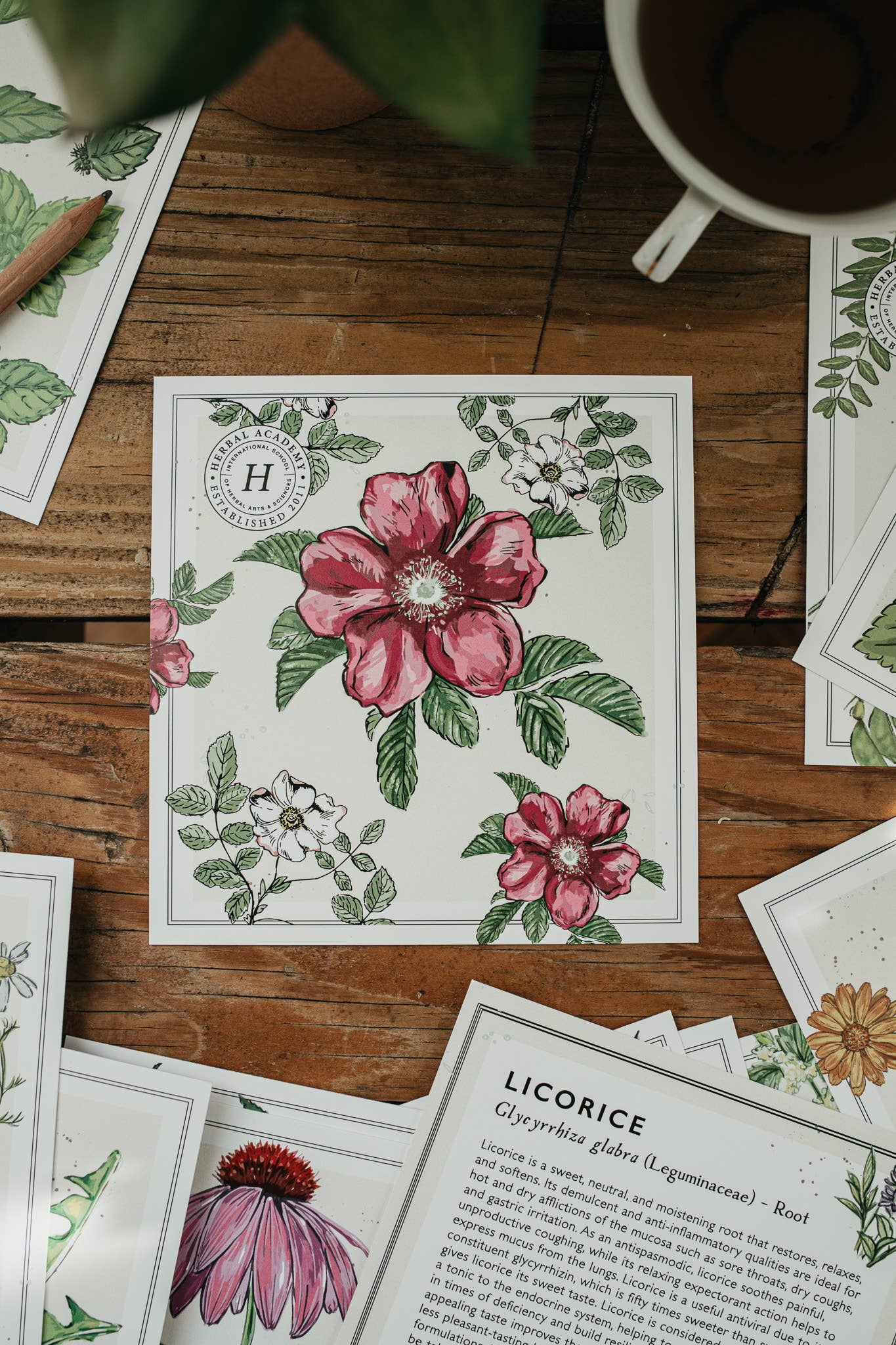 Mini Plant Monograph Cards