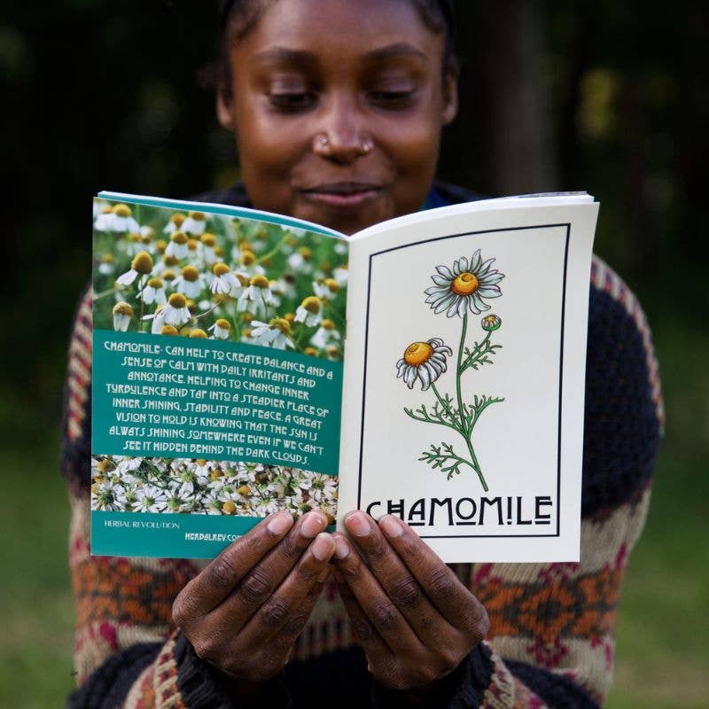 Nettle | Herbal Medicine Making Zines