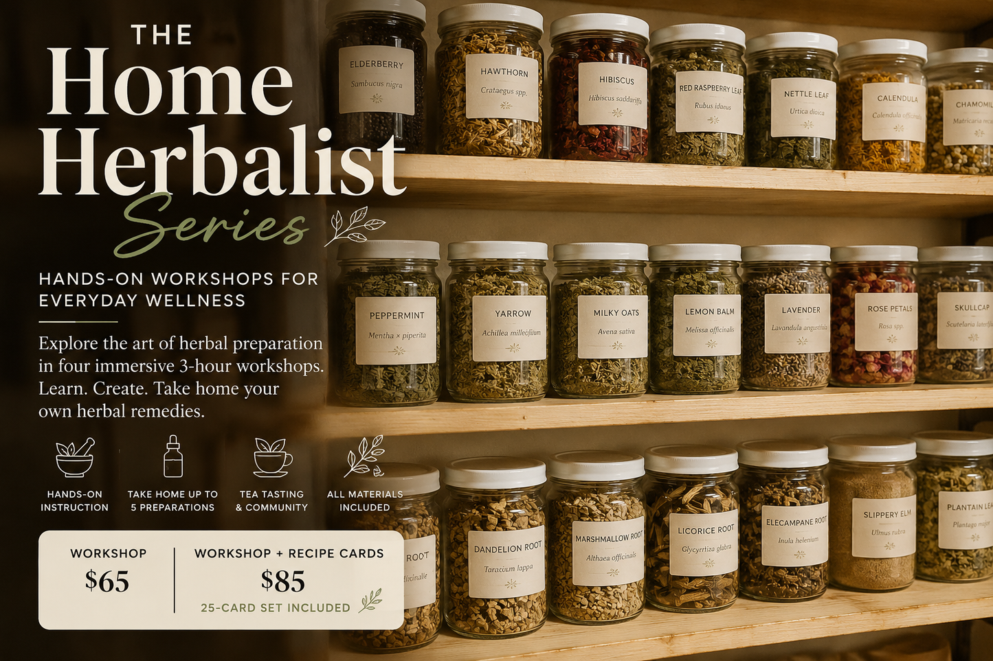 Home Herbalist Series: Oils, Salves, and Topical Remedies